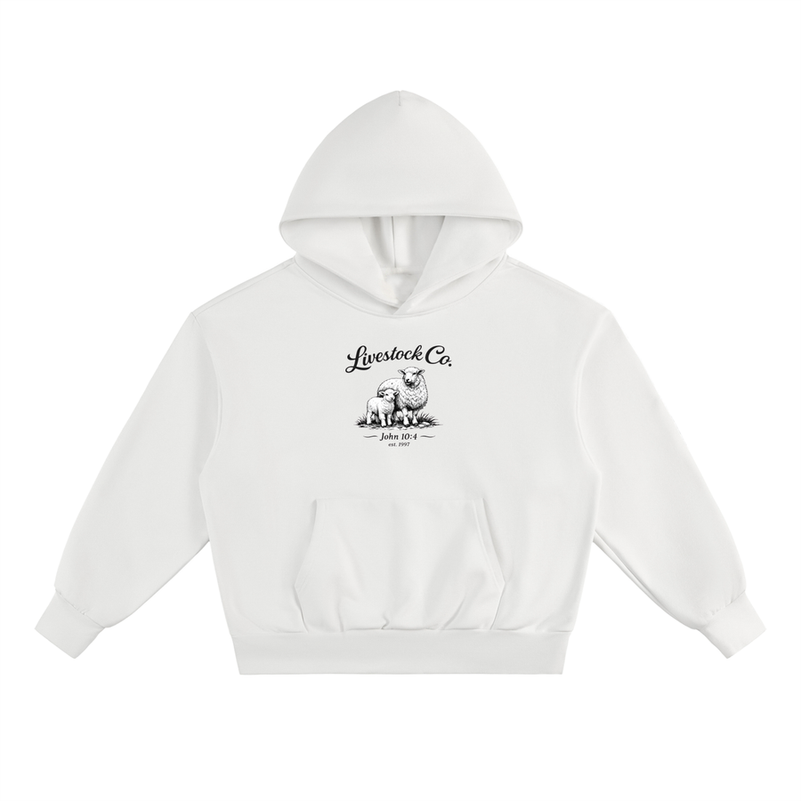 Marked Hoodie - Scripture Edition | Monochrome Black