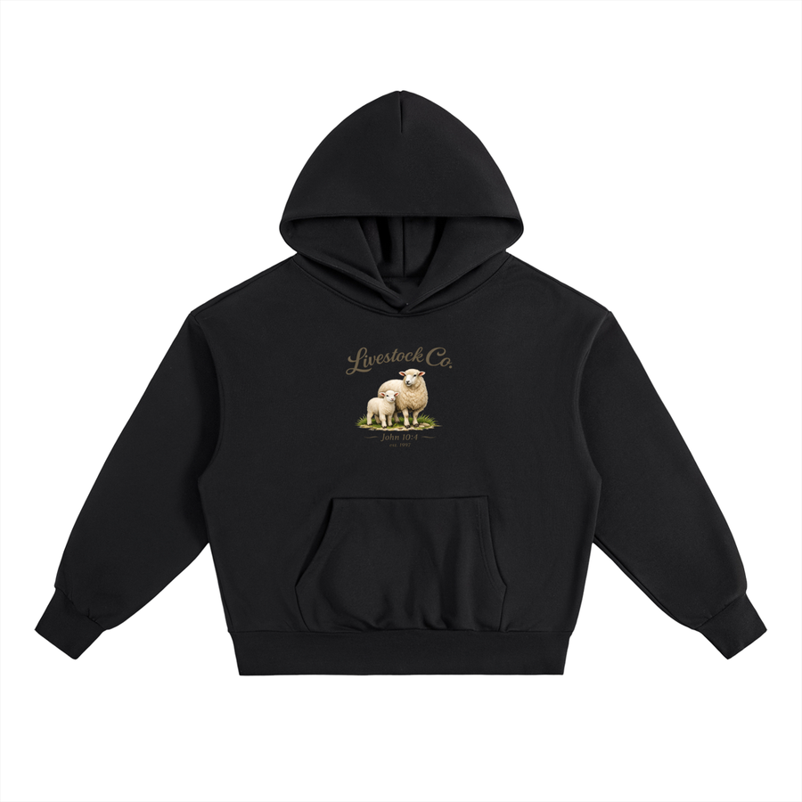 Marked Hoodie - Scripture Edition | Heritage